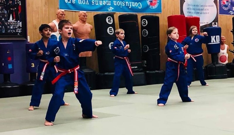 Lees-Championship-Tae-Kwon-Do-kids-4